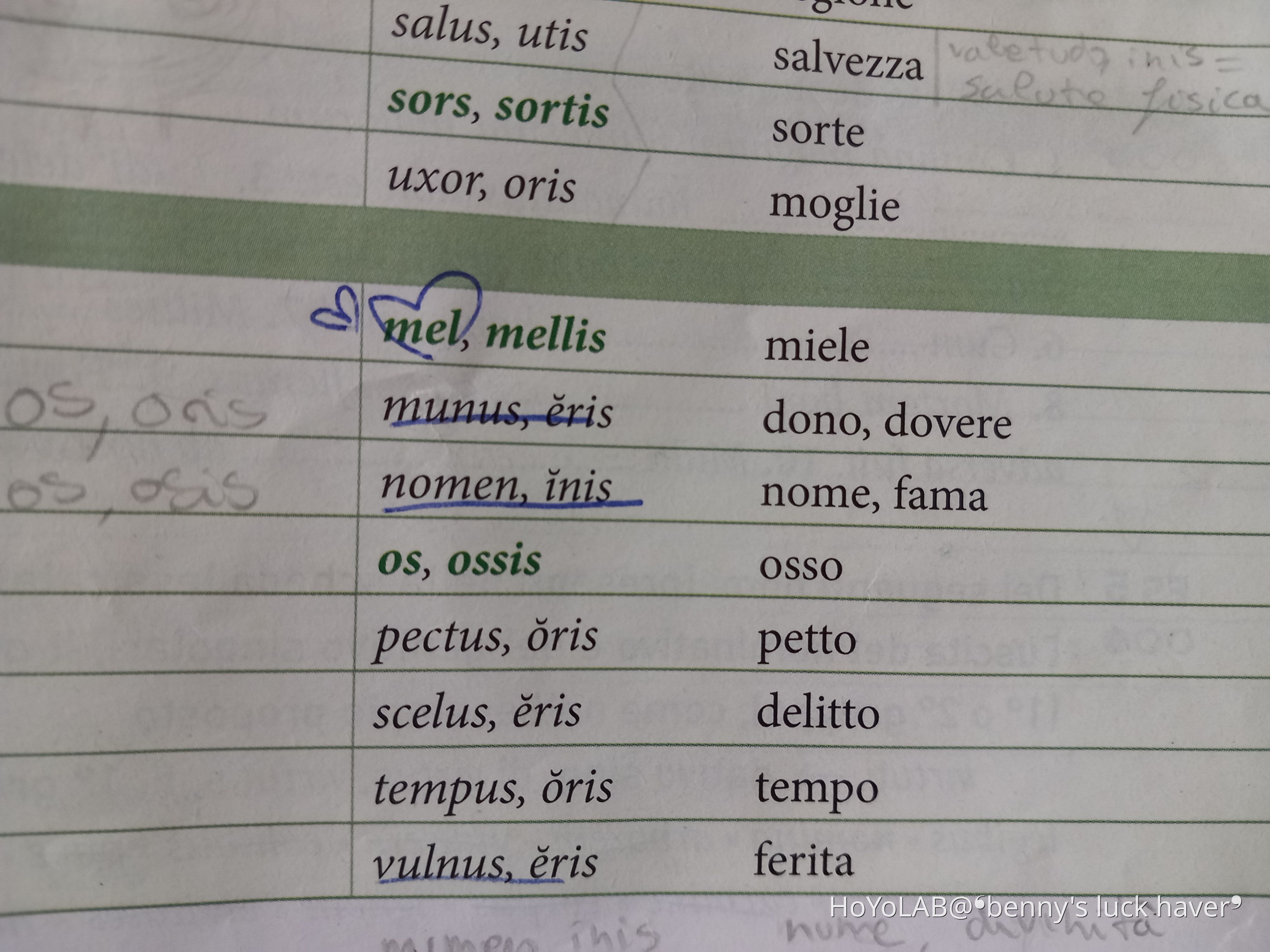 mel-means-honey-in-latin-hoyolab