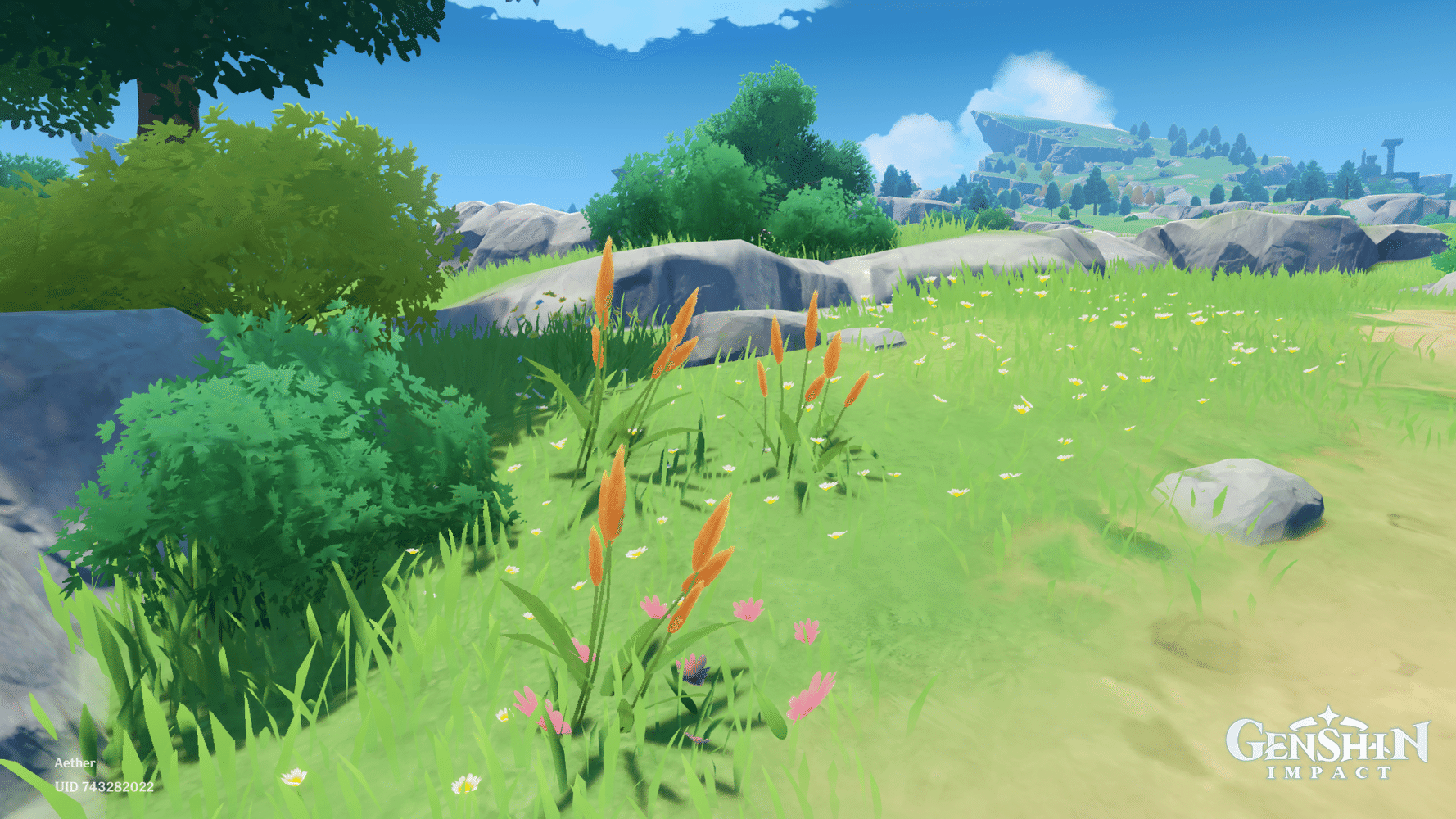 The appreciation of Mondstadt flora 🌱 HoYoLAB