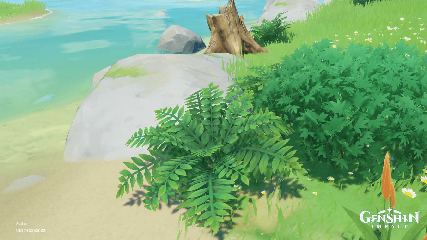 The appreciation of Mondstadt flora 🌱 HoYoLAB