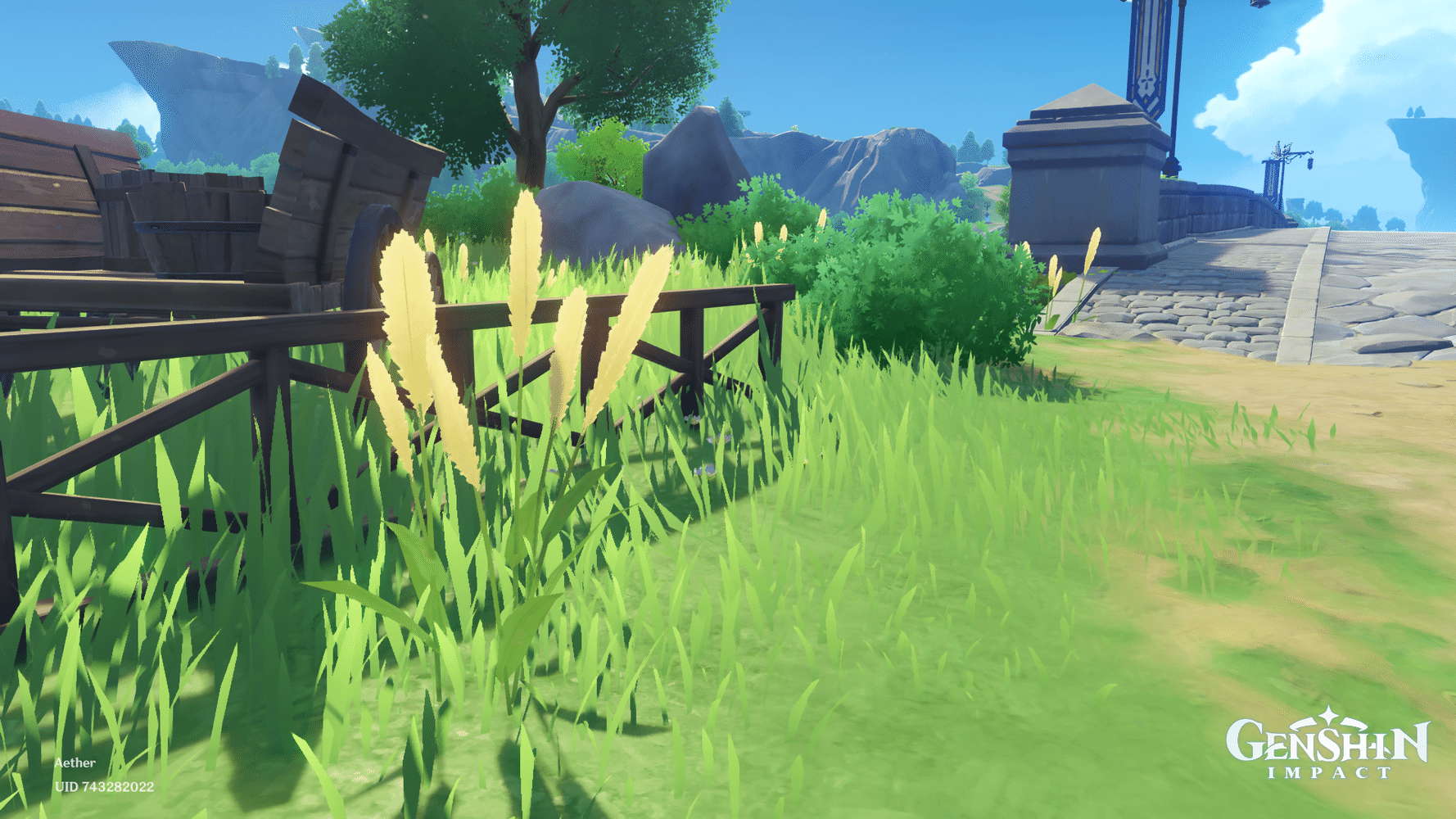 The appreciation of Mondstadt flora 🌱 HoYoLAB