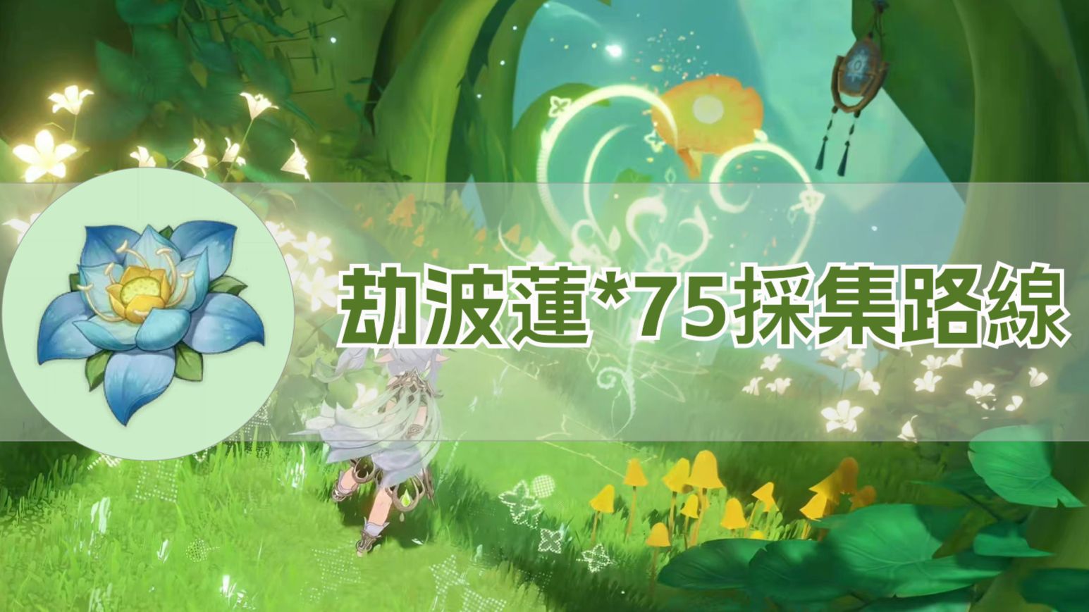 劫波蓮*75採集路線Genshin Impact | HoYoLAB
