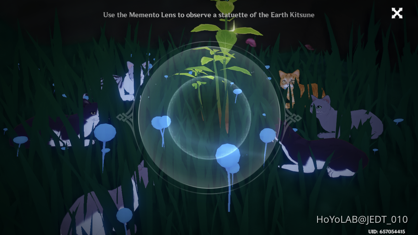 Cat ritual Genshin Impact | HoYoLAB