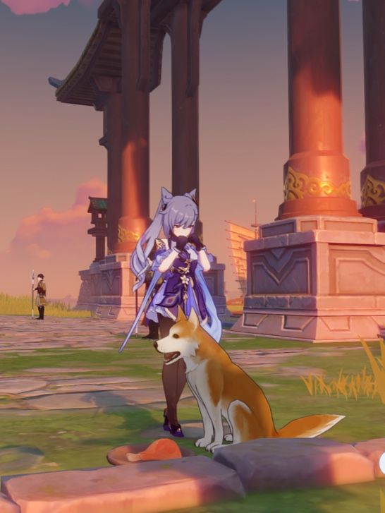 Teyvat Pets Genshin Impact HoYoLAB