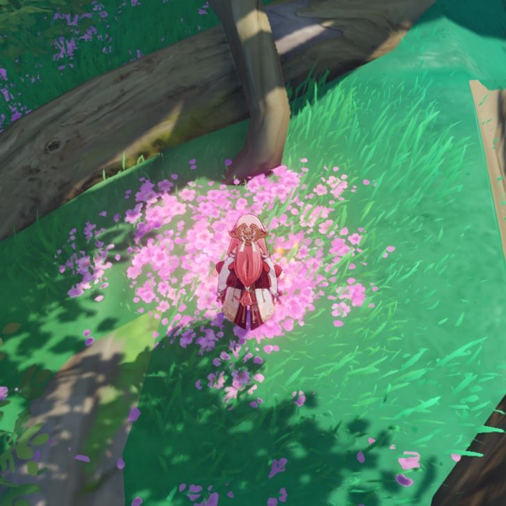 genshin flowers 💐 Genshin Impact HoYoLAB