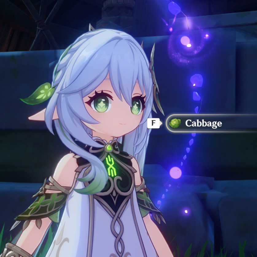 cabbage Genshin Impact HoYoLAB