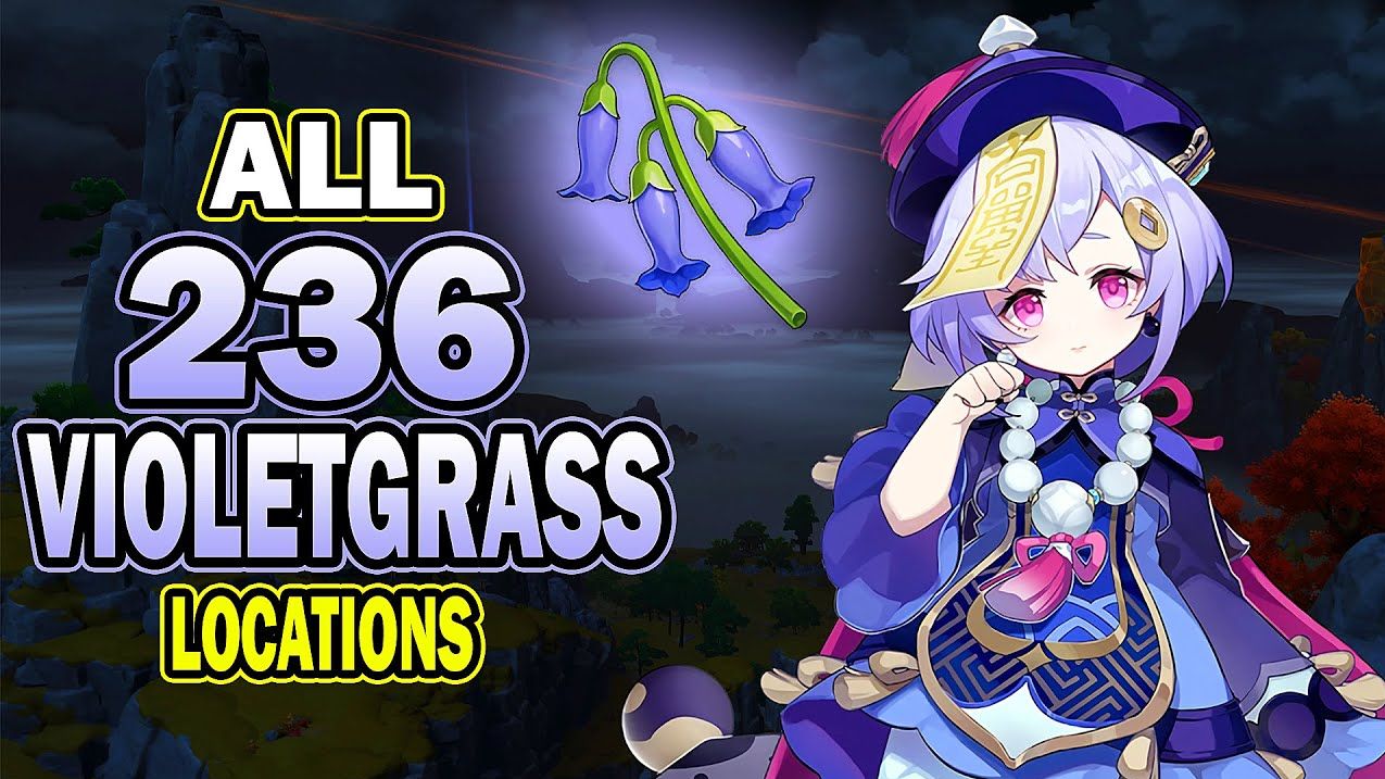 All 236 Violetgrass Farming Route Genshin Impact HoYoLAB