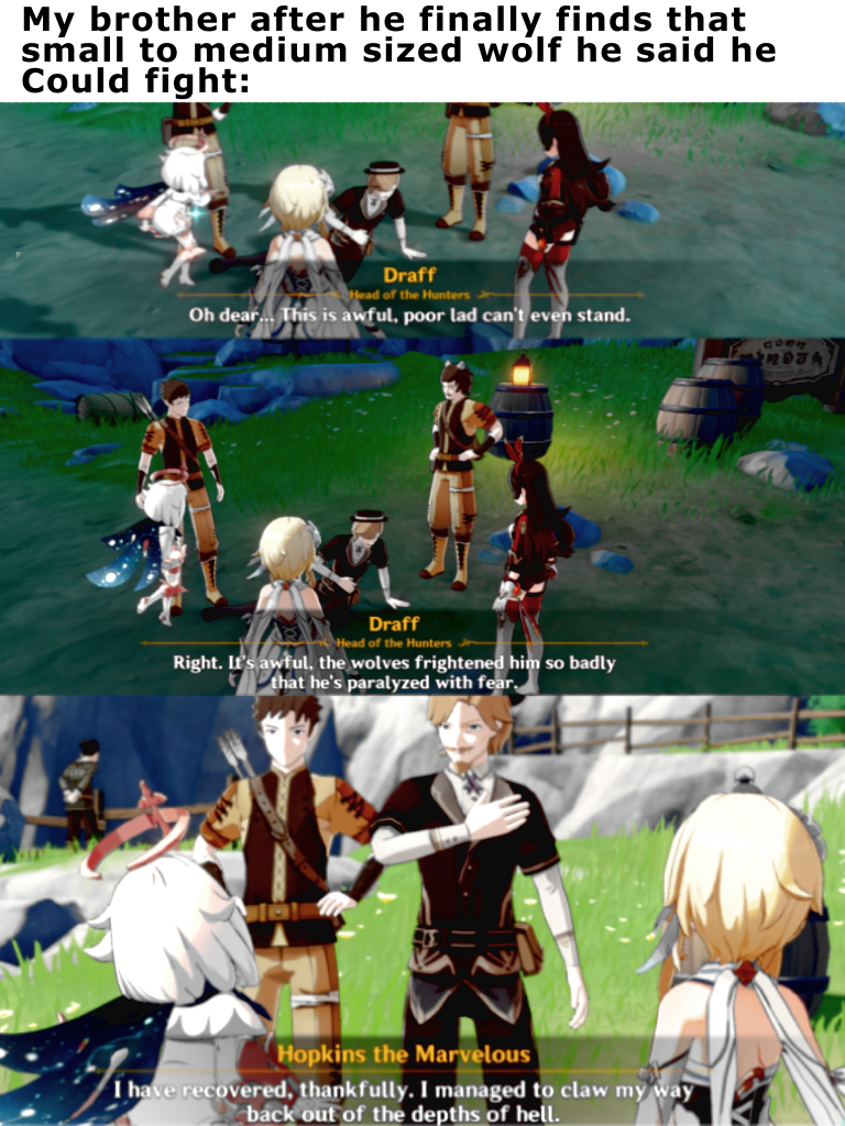 Please tell me someone else has a brother like this Genshin Impact ...