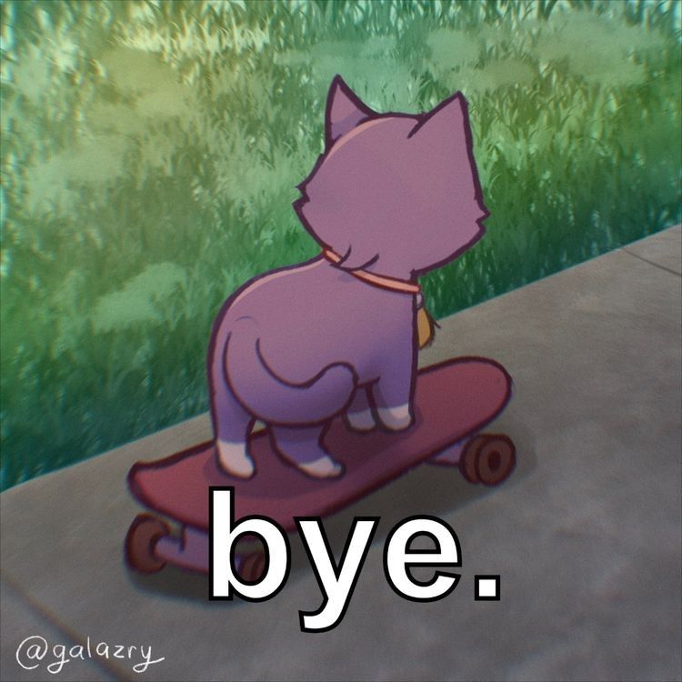 котик Скара Genshin Impact | HoYoLAB