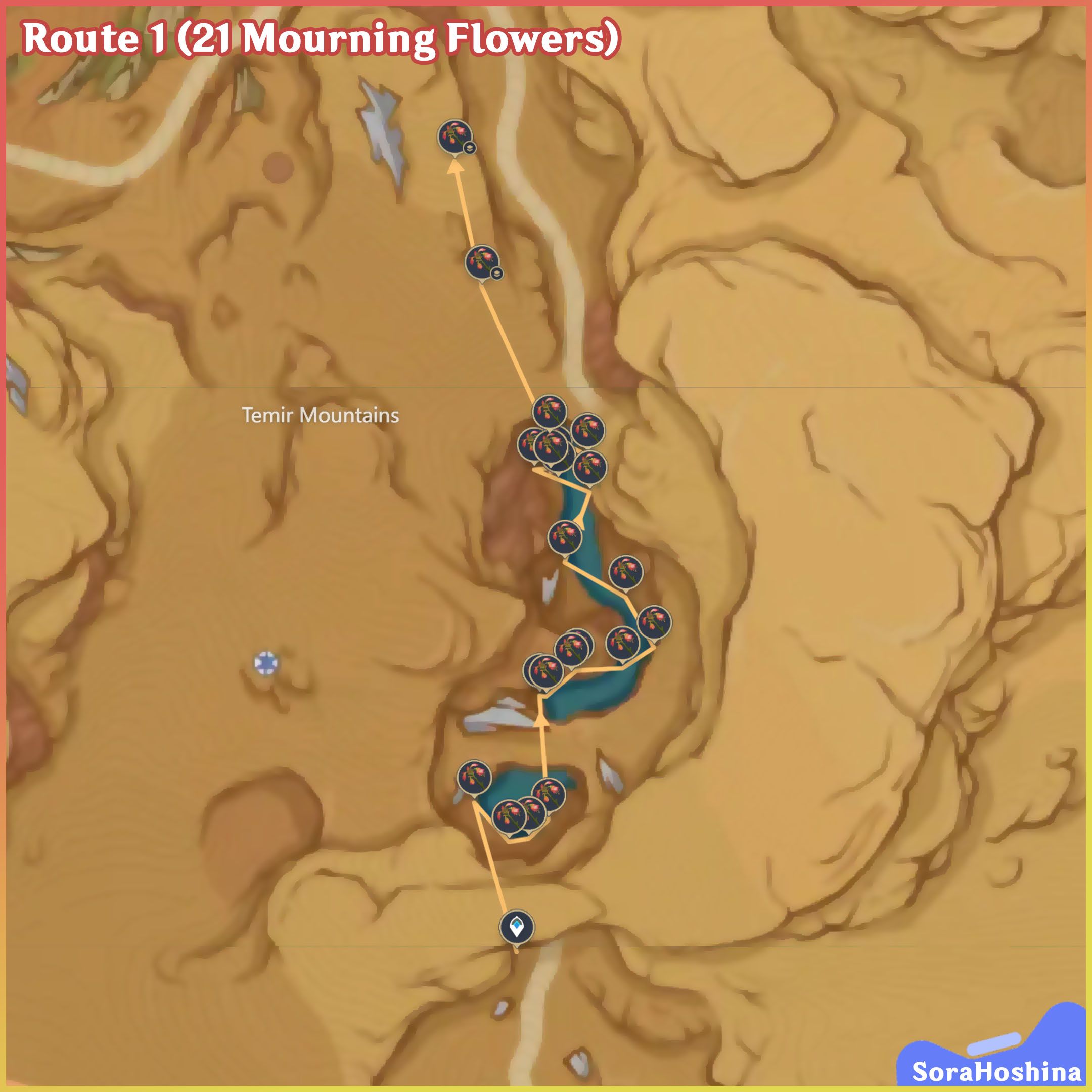 [V3.6] All 78 Mourning Flowers Route & Farming Guide Kaveh Ascension