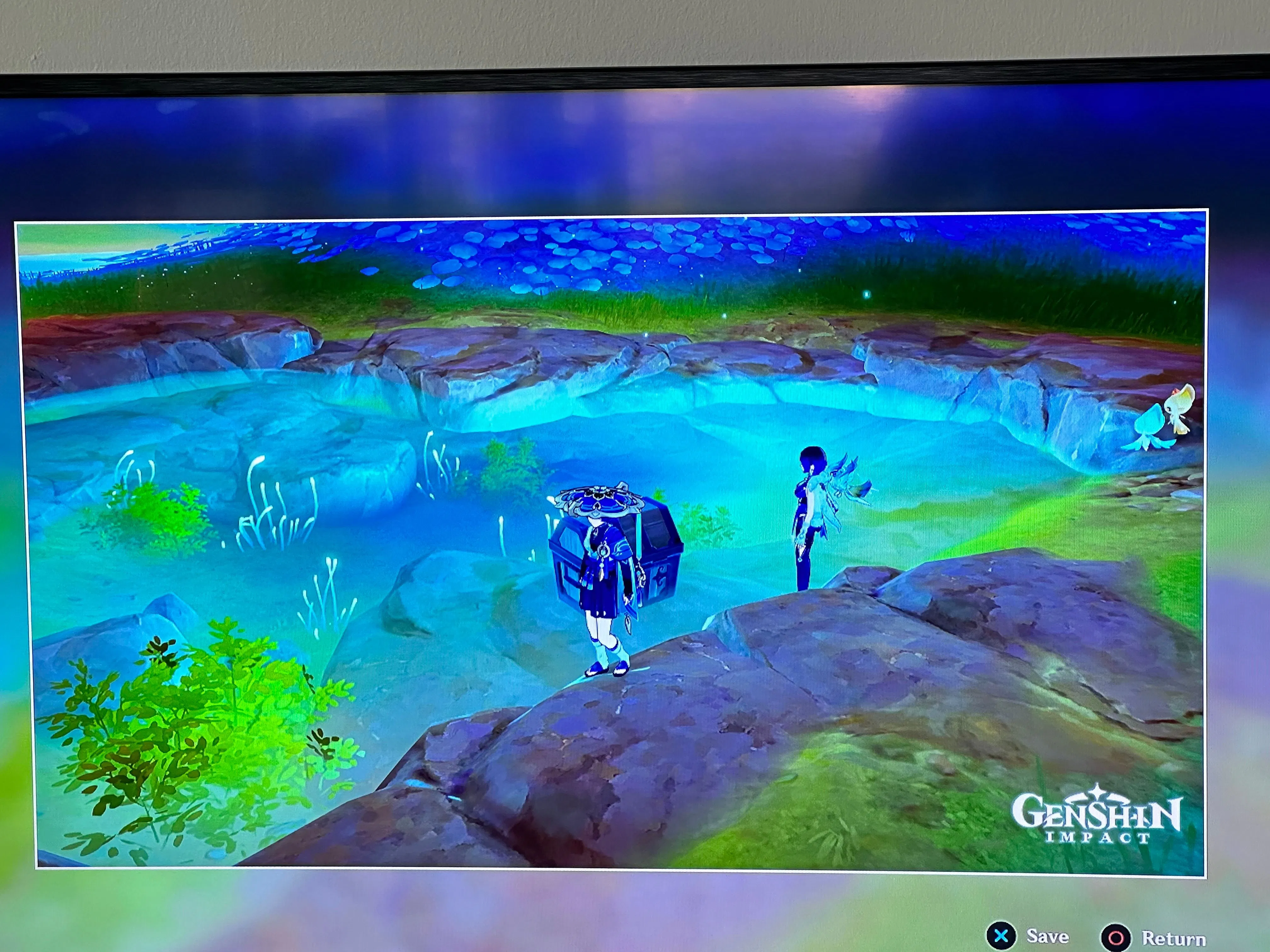 Study Group Lover’s Pond Genshin Impact HoYoLAB