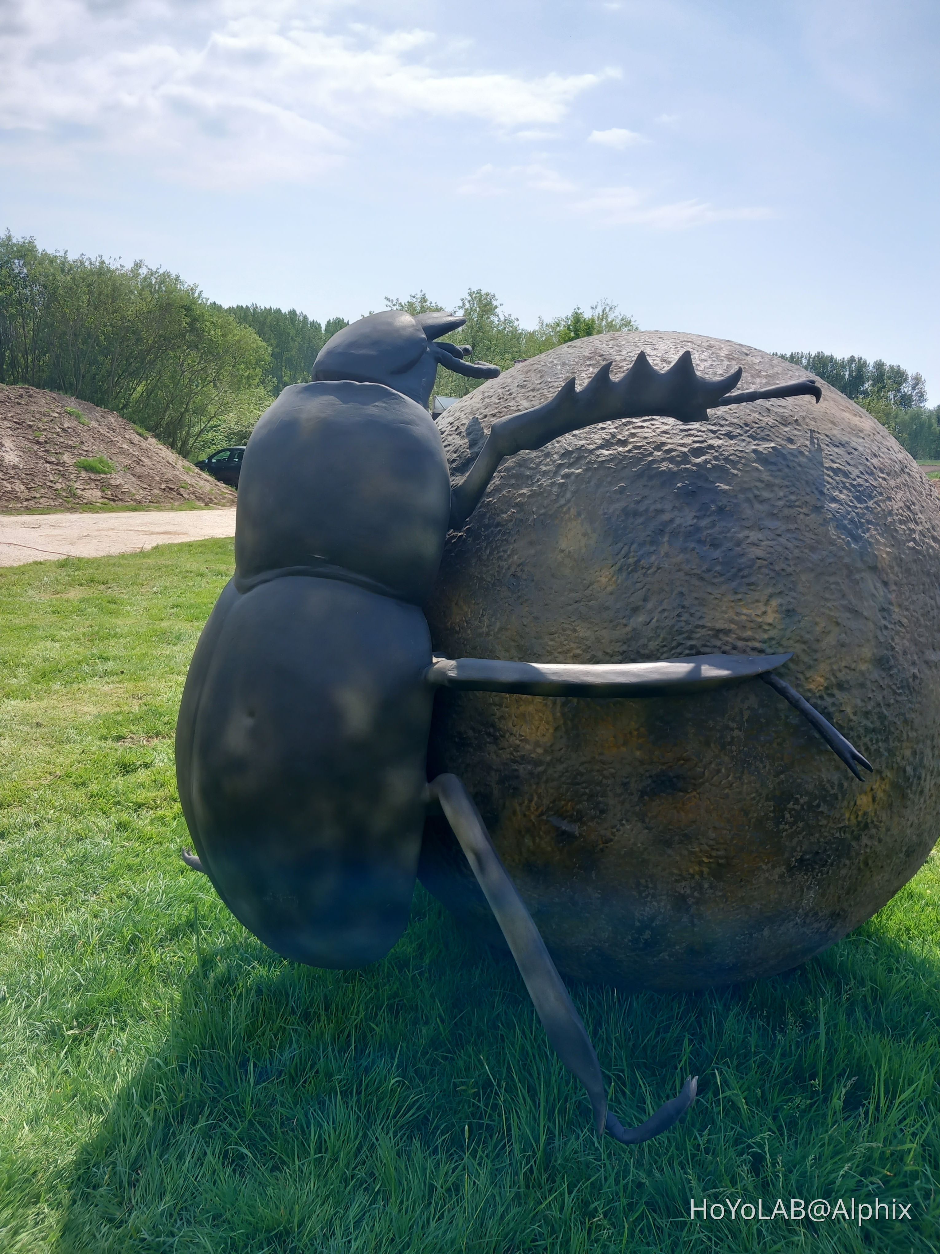 Osrs Giant Scarab - ti4ifi3
