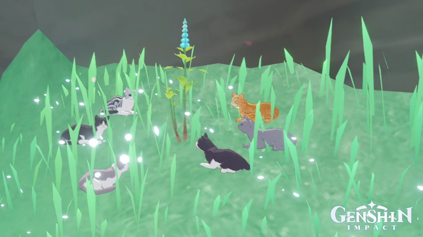 A cat meeting! Genshin Impact | HoYoLAB