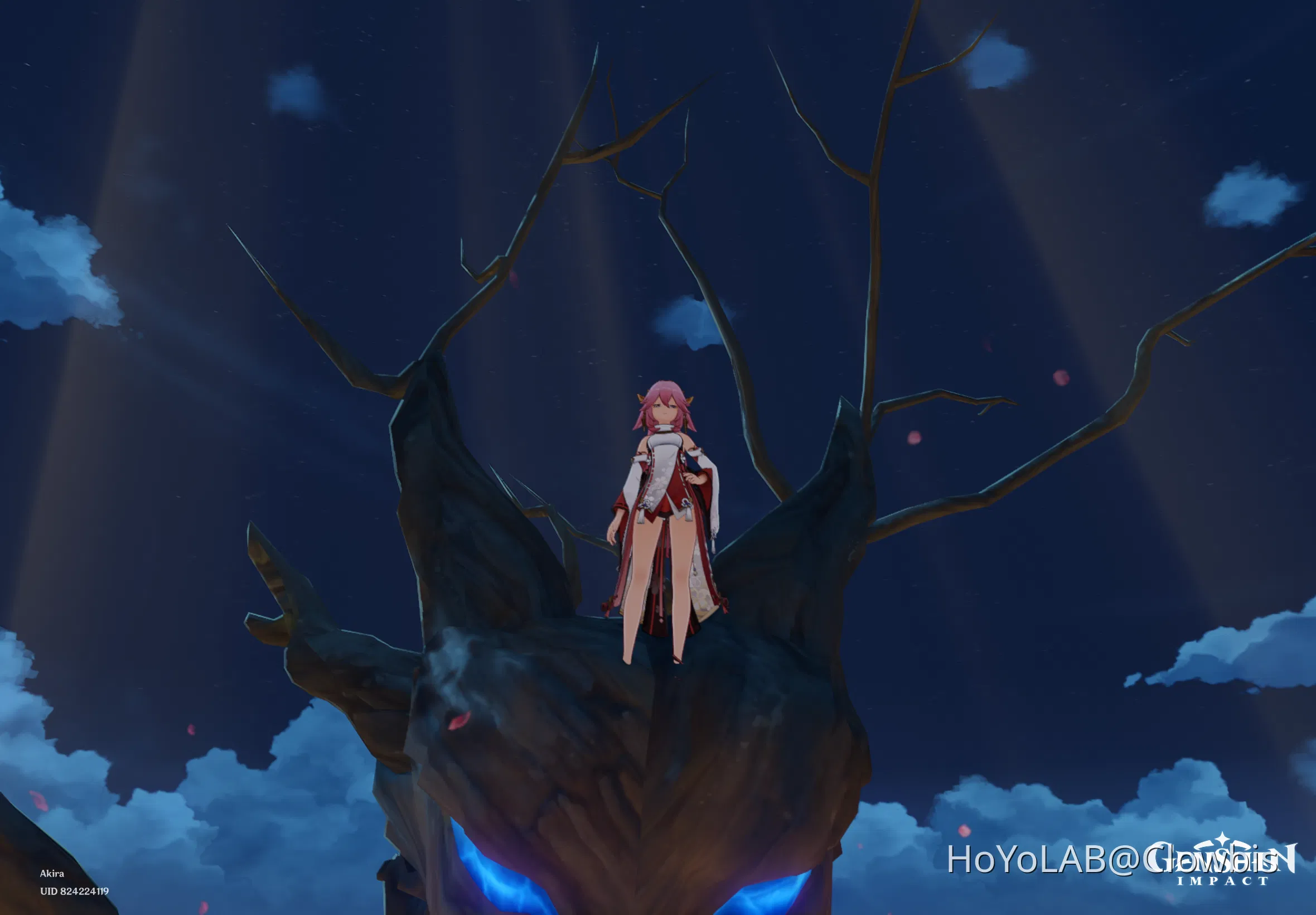 Pictures of fox lady Genshin Impact HoYoLAB