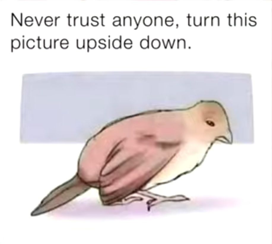 a8f52404a64e7b1f8111aab024792ff0_6727412015536430469.jpg