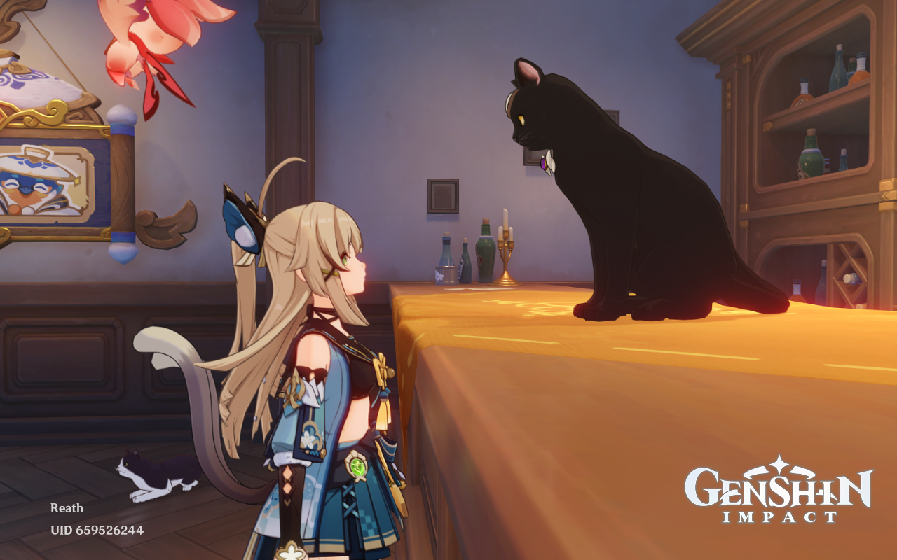 Cats around Teyvat Genshin Impact | HoYoLAB