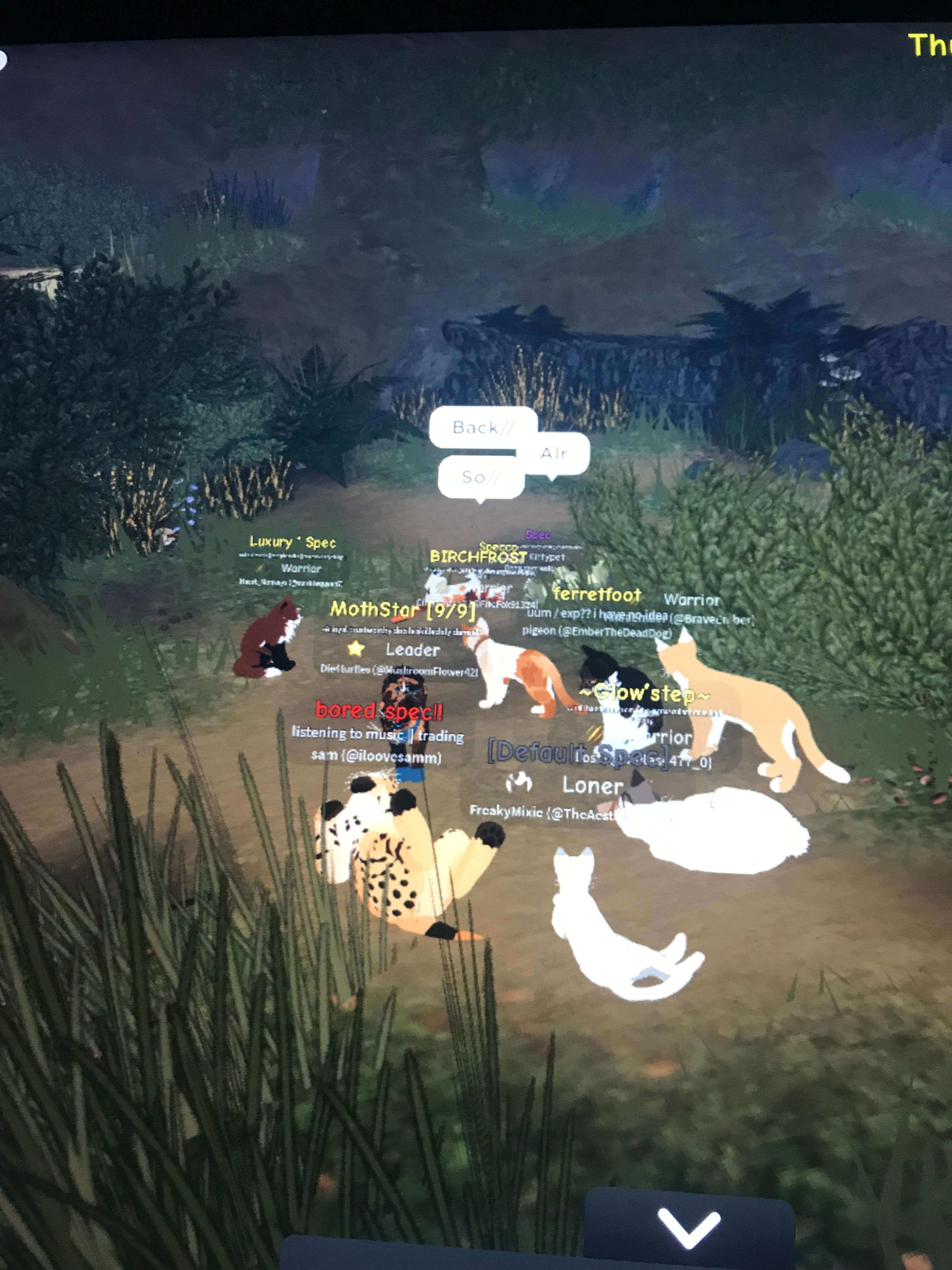 POV your playing WCUE | HoYoLAB