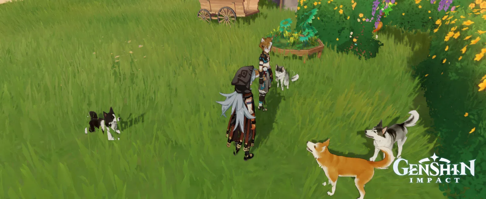 just a pack of dogs Genshin Impact HoYoLAB