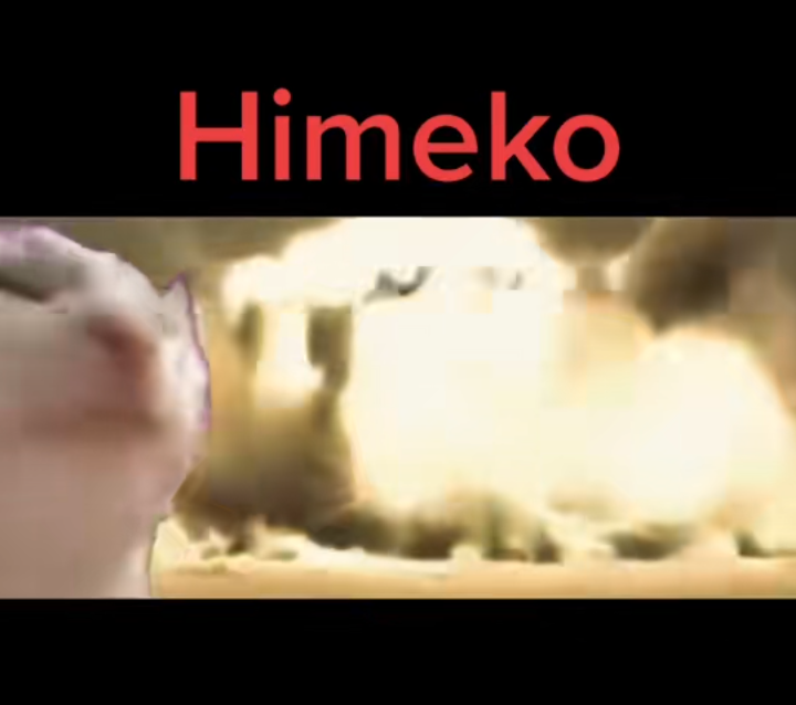 HSR ULTS Honkai Star Rail HoYoLAB