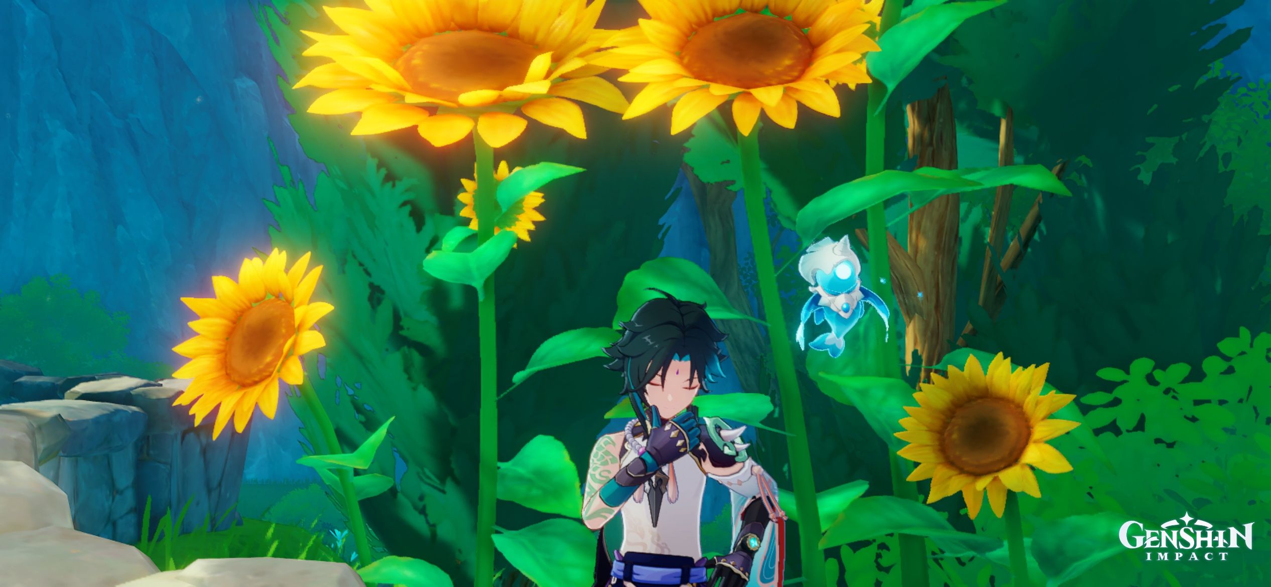 sunflowers-are-taller-than-xiao-genshin-impact-hoyolab