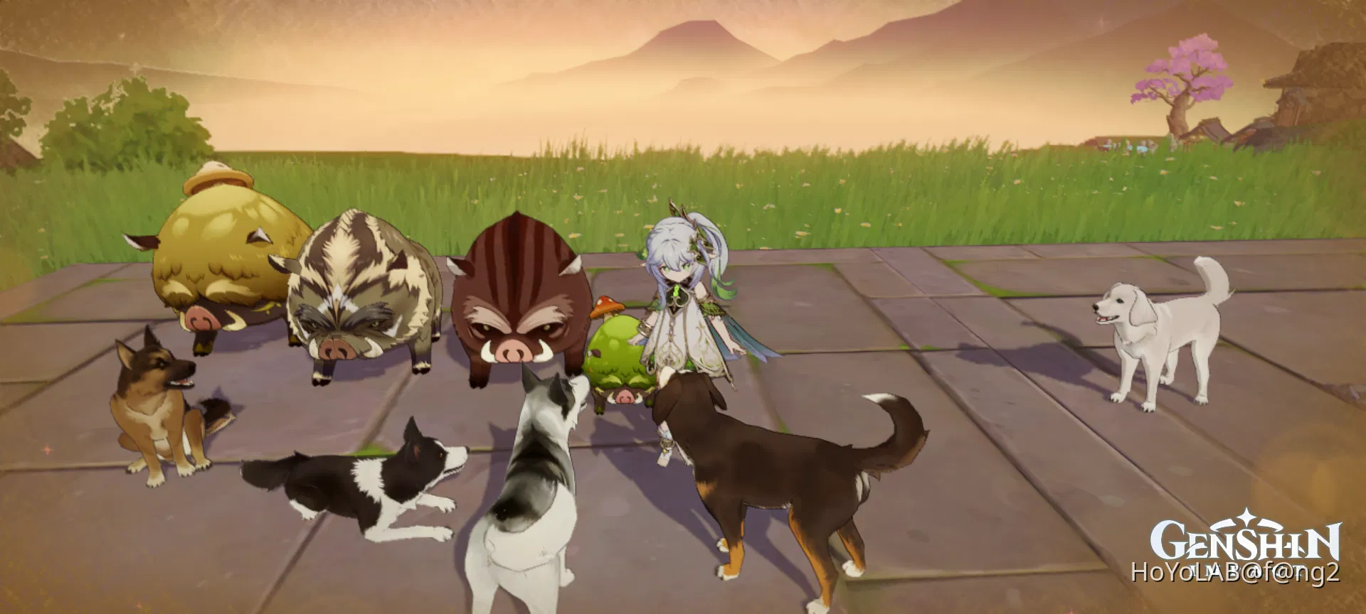 dogs-including-fontaine-dog-genshin-impact-hoyolab
