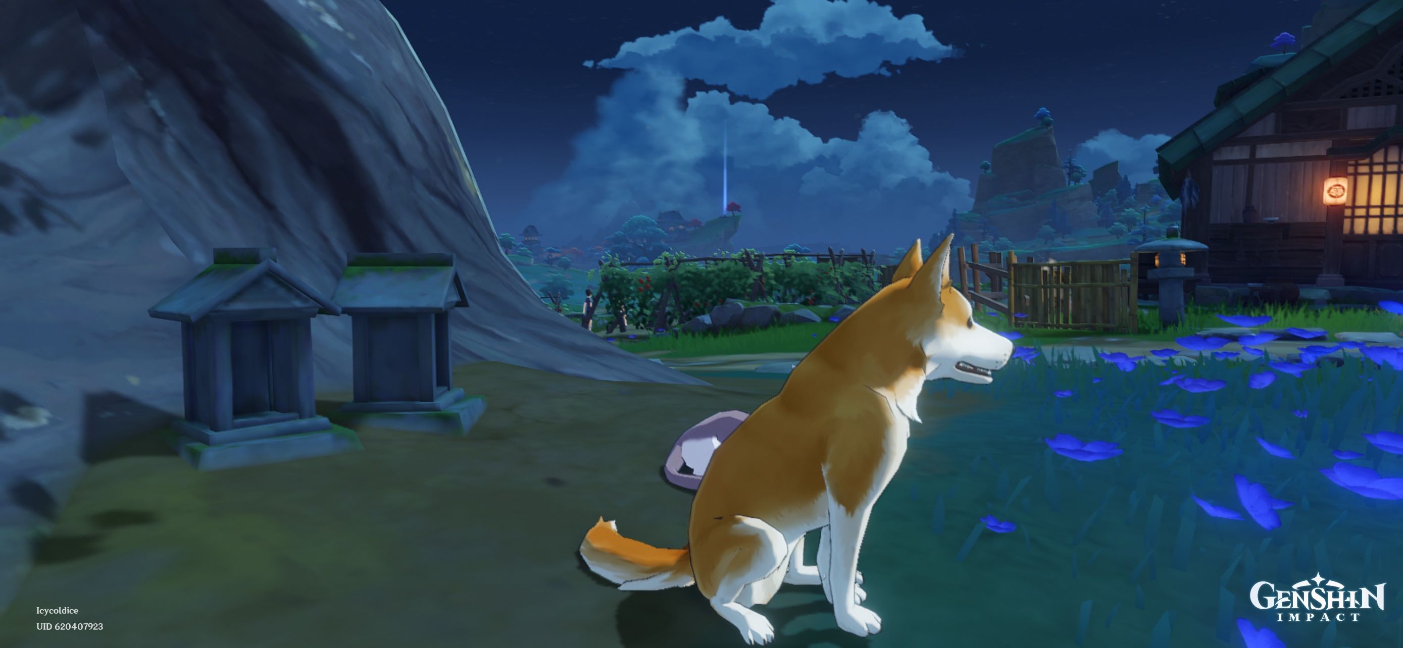 50-genshin-impact-hoyolab