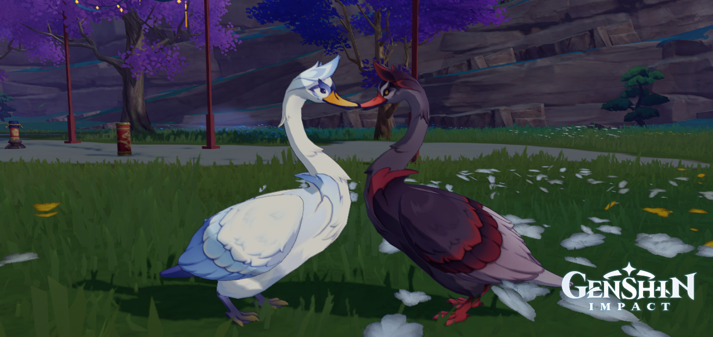 birds Genshin Impact | HoYoLAB