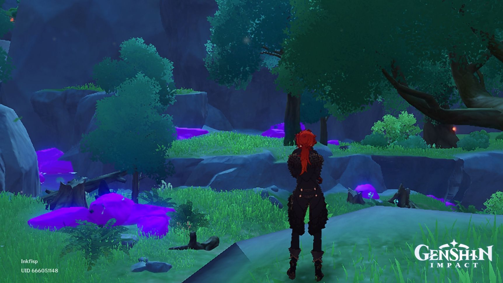 Purple Rocks Chasm Purple rocks Genshin Impact | HoYoLAB