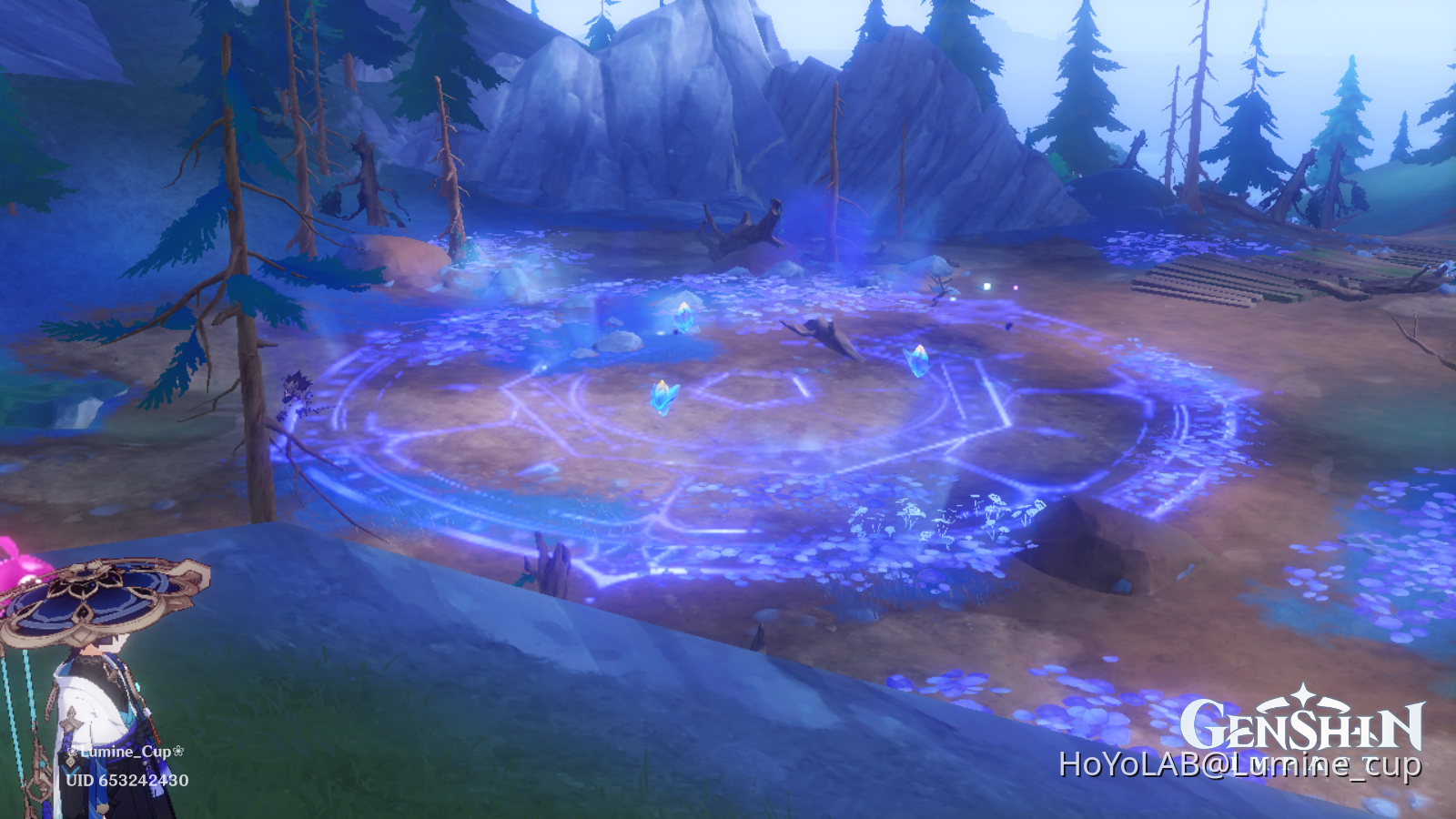 i think i just witnessed some rituals taking place.. Genshin Impact ...