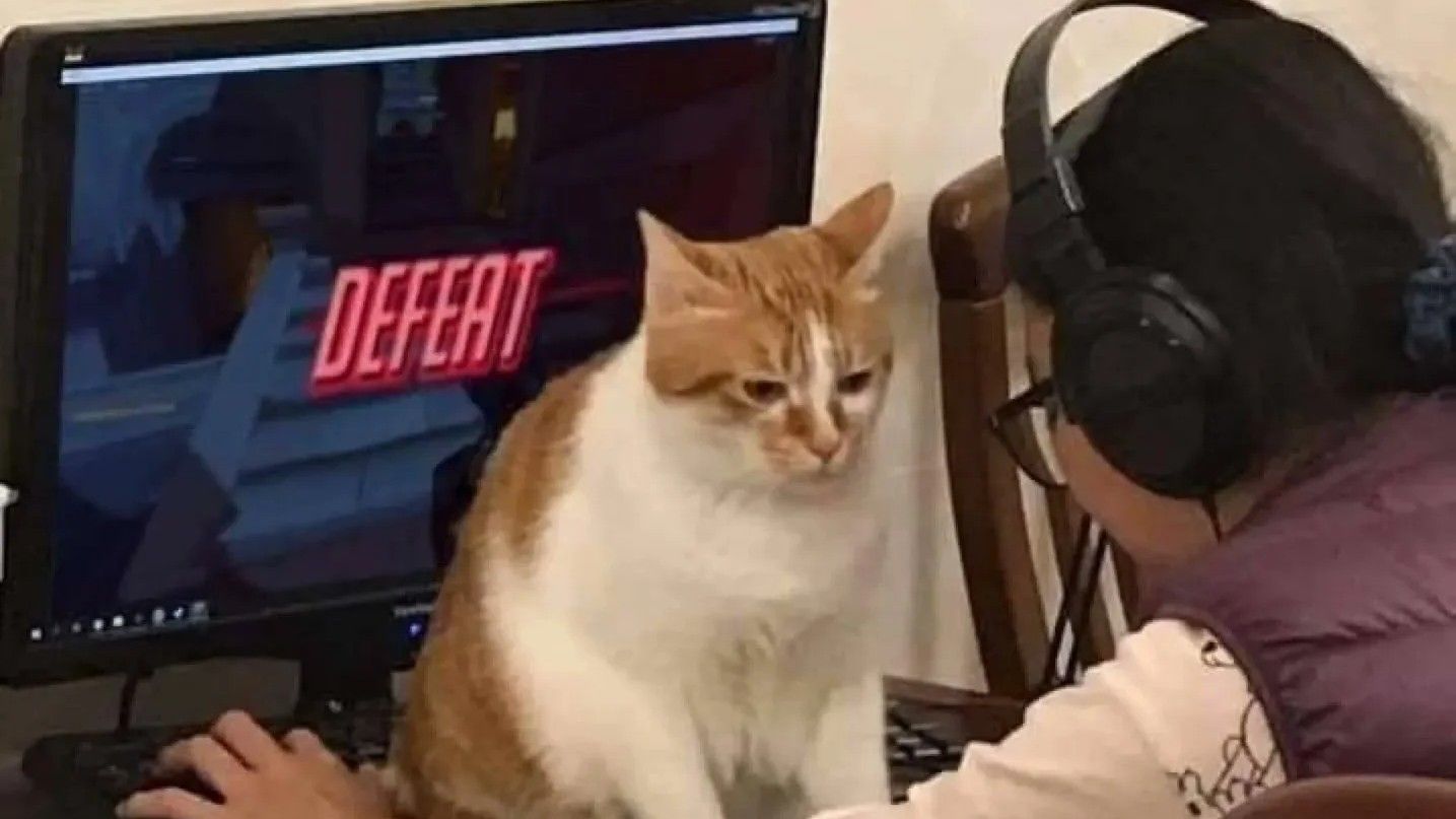 Achievement tracker Genshin Impact HoYoLAB