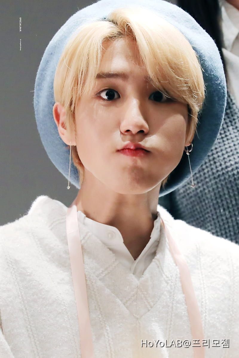 ik-that-s-kinda-random-and-unrelated-but-is-anyone-here-a-stay-skz-stan