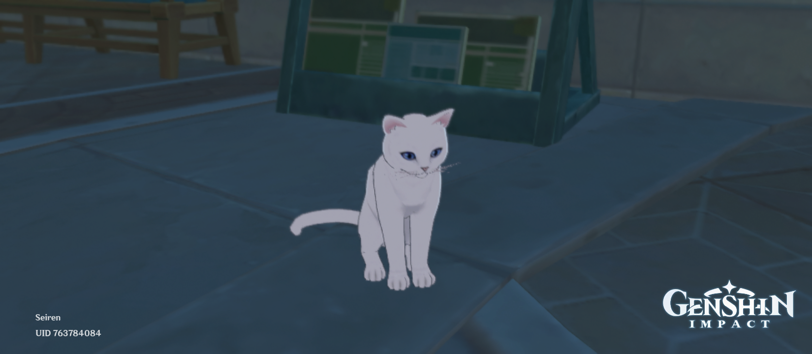 cats Genshin Impact | HoYoLAB