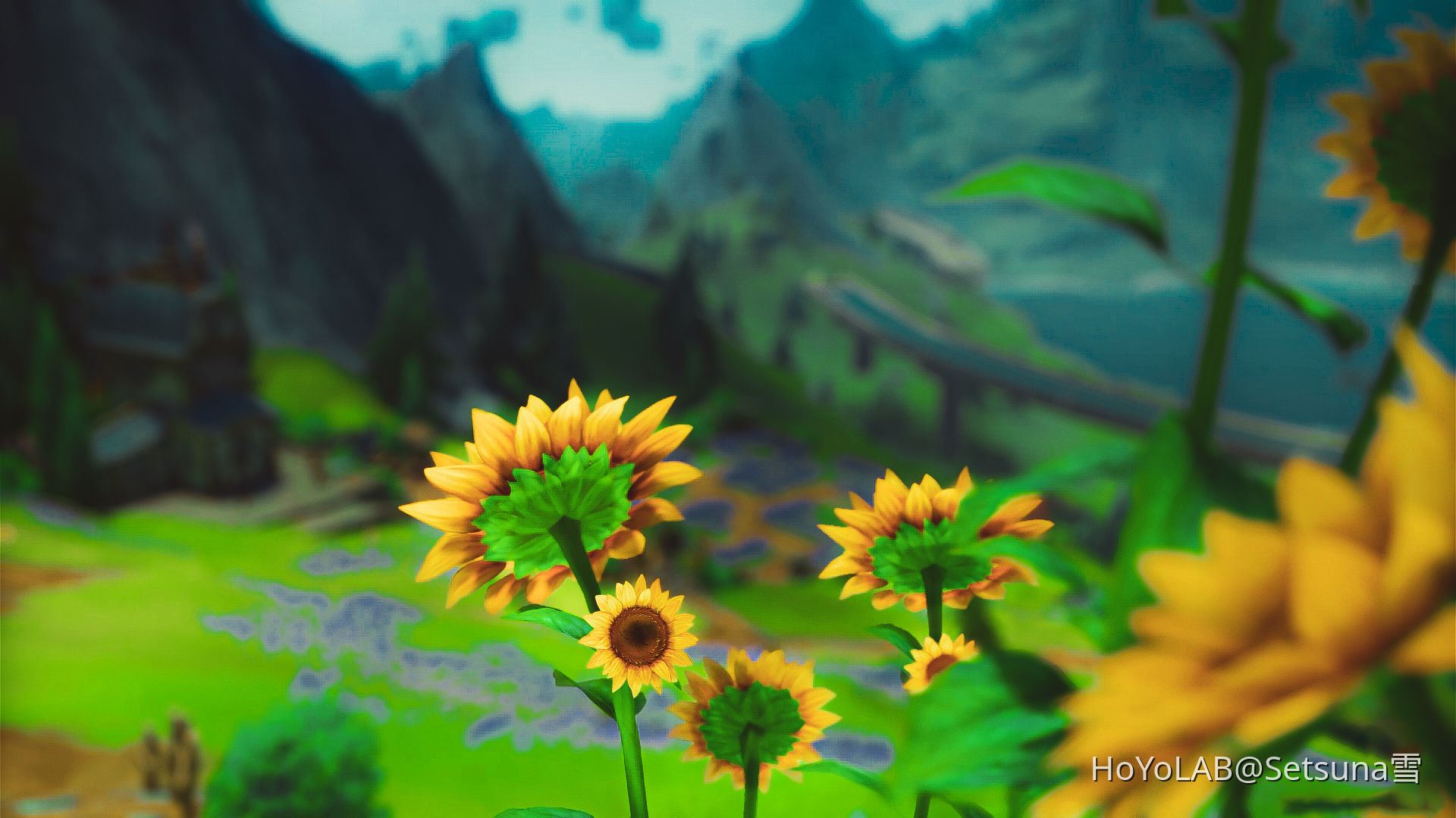 Sunflowers 🌻 Genshin Impact HoYoLAB