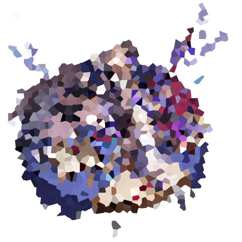 Trash Can Riddles, Issue 9 Even more Abstract Images Coming Your Way