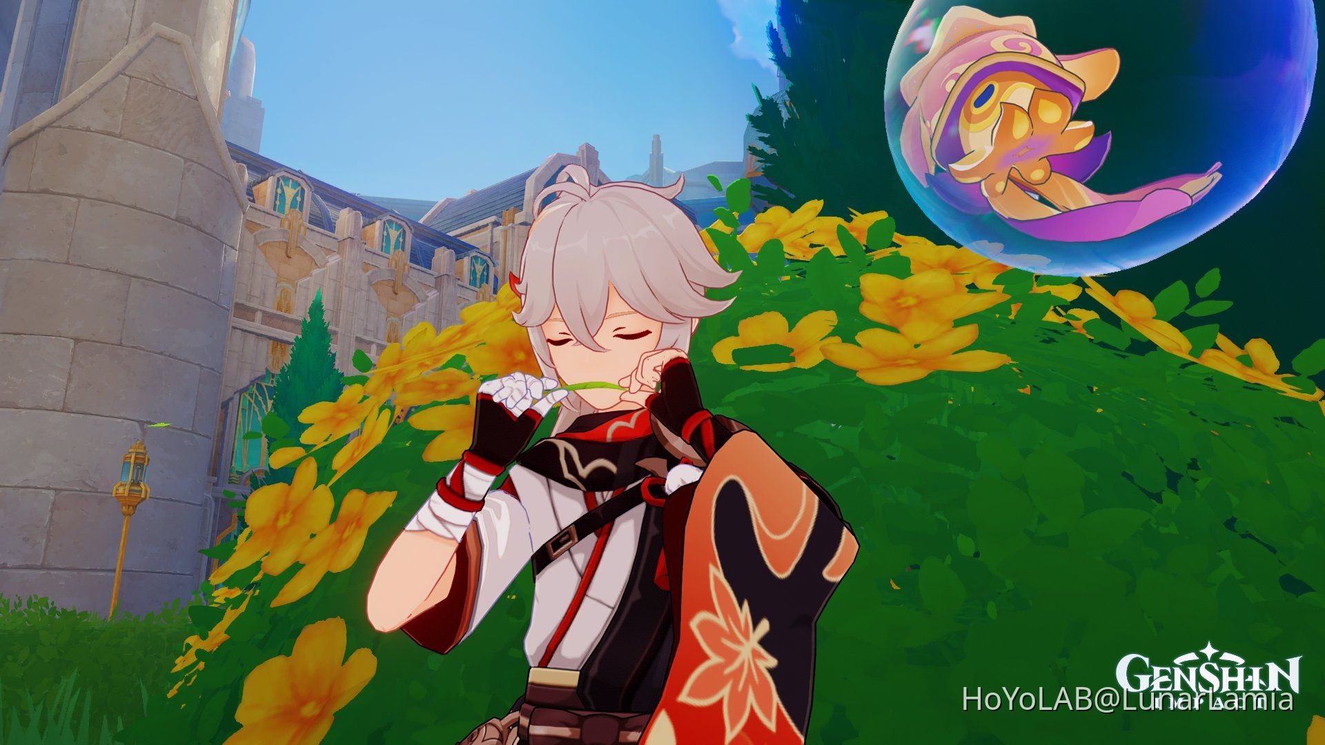 Kazoo Genshin Impact HoYoLAB