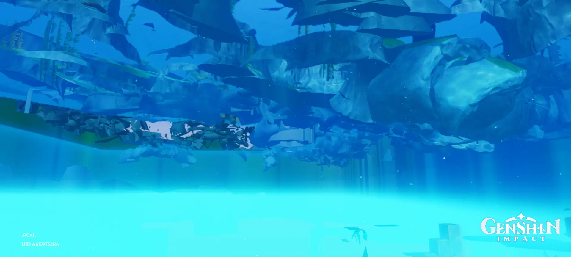 I found a glitch in Fontaine! It looks beautiful for pictures