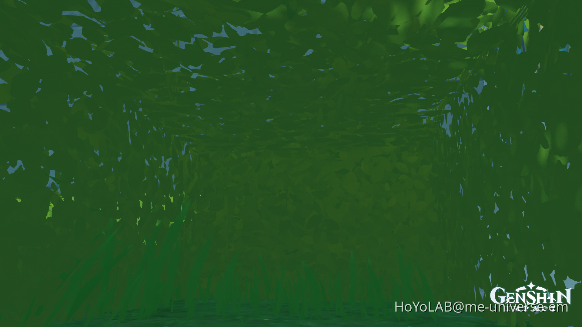Do not scroll genshin impact hoyolab
