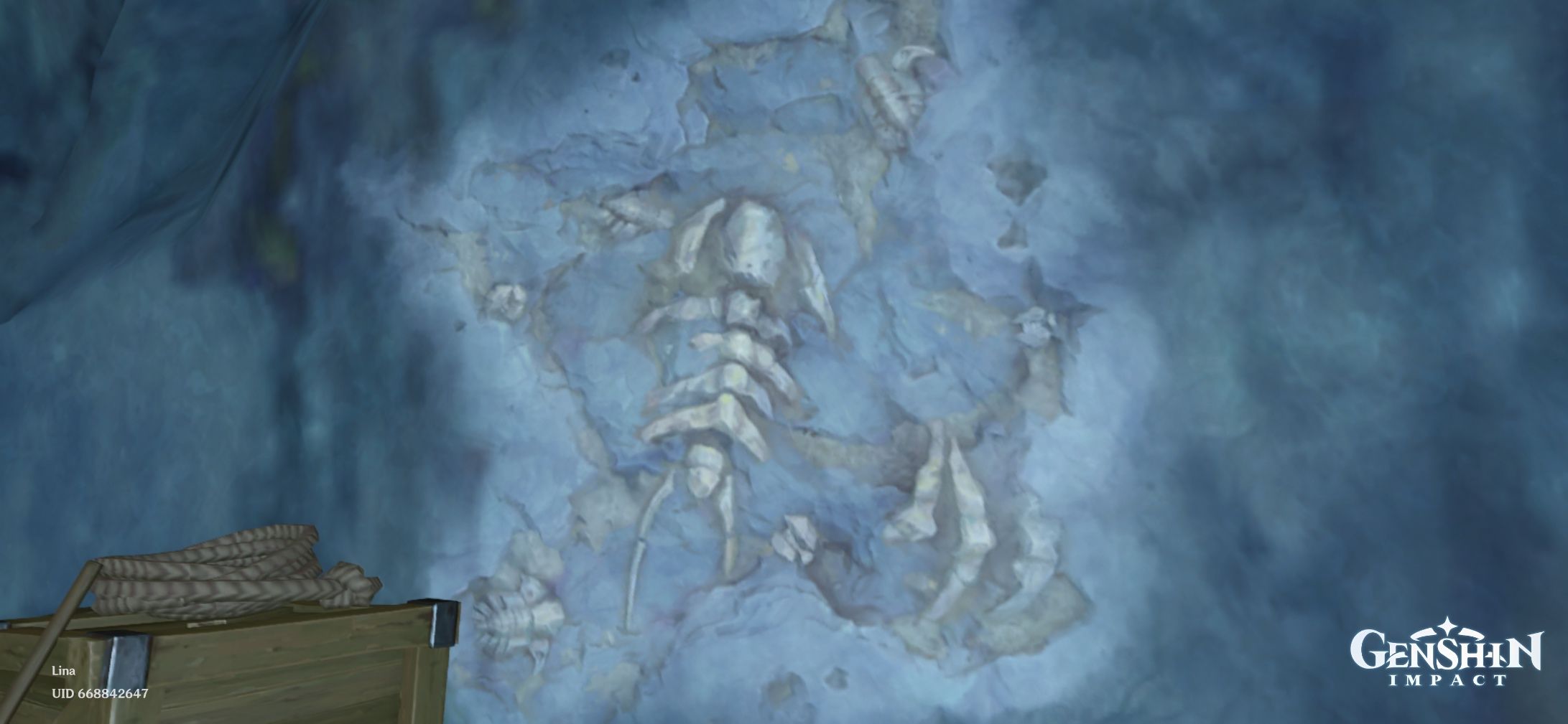 Fossils in chasm. Genshin Impact HoYoLAB