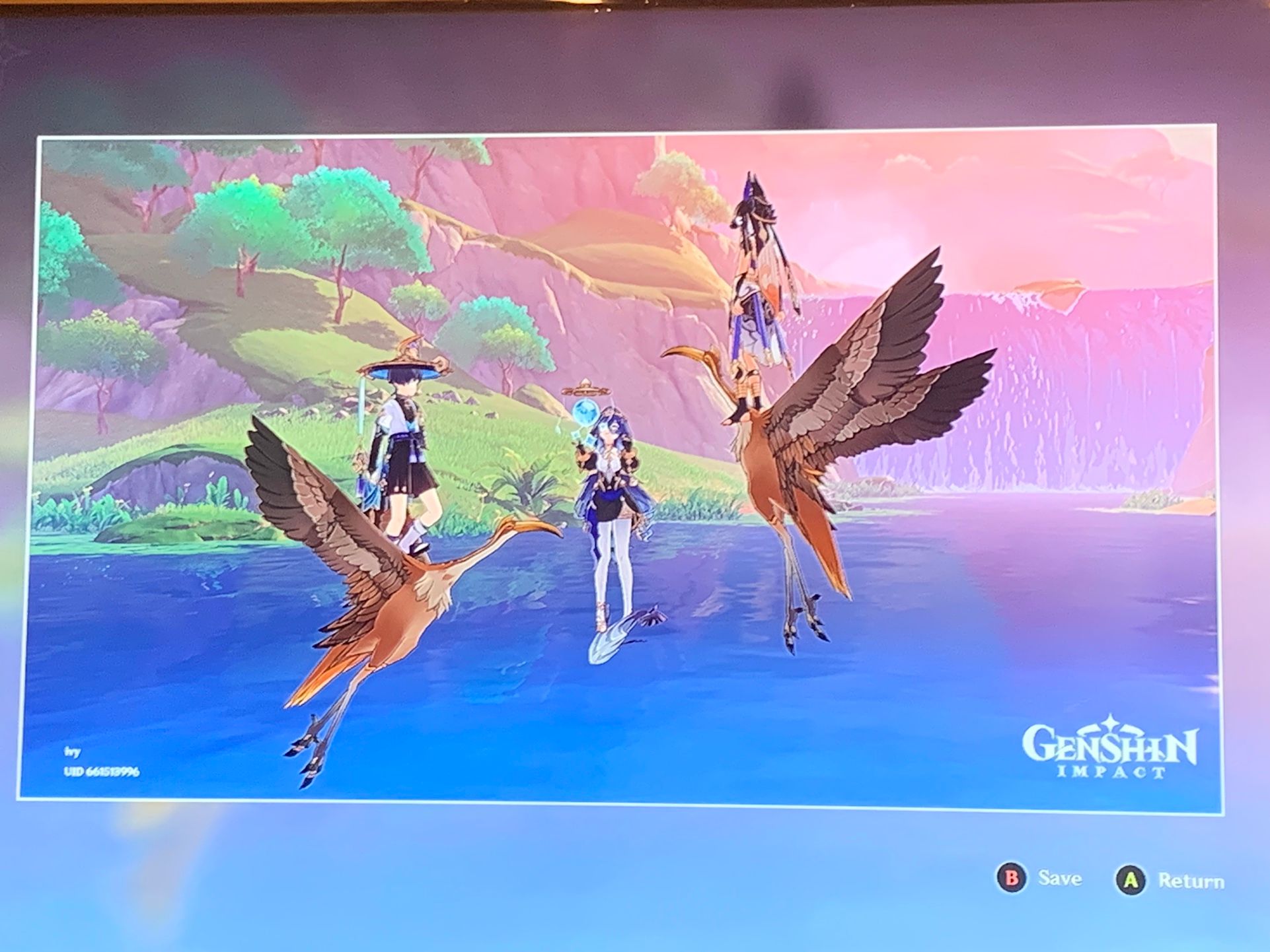 birbs Genshin Impact | HoYoLAB