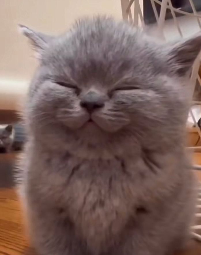 invite me in “share invitation” my code is 207685199GU Honkai Impact