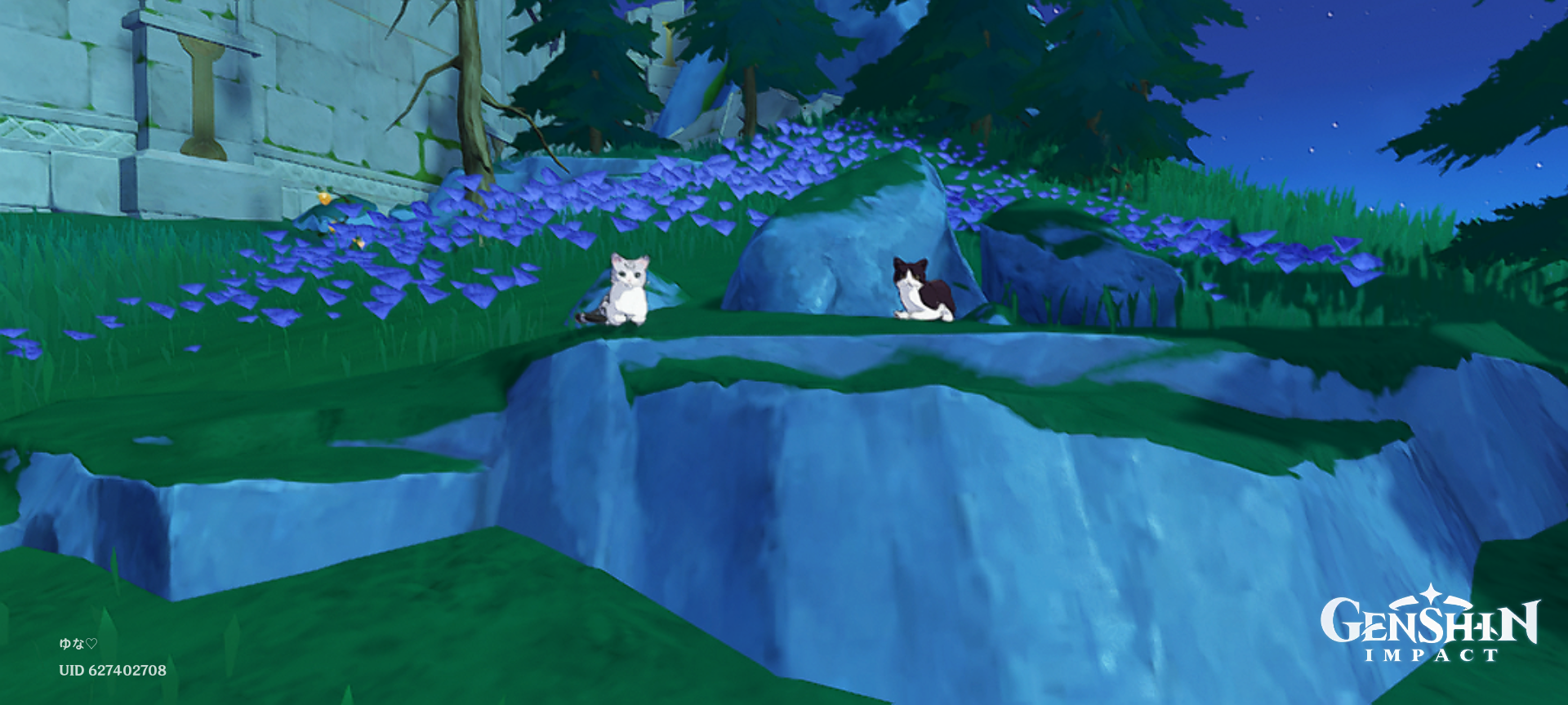 cats in fontaine Genshin Impact | HoYoLAB