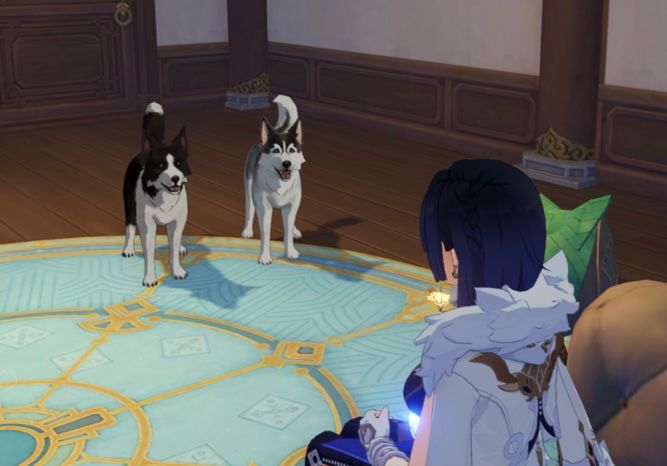 Meet my pets Genshin Impact | HoYoLAB