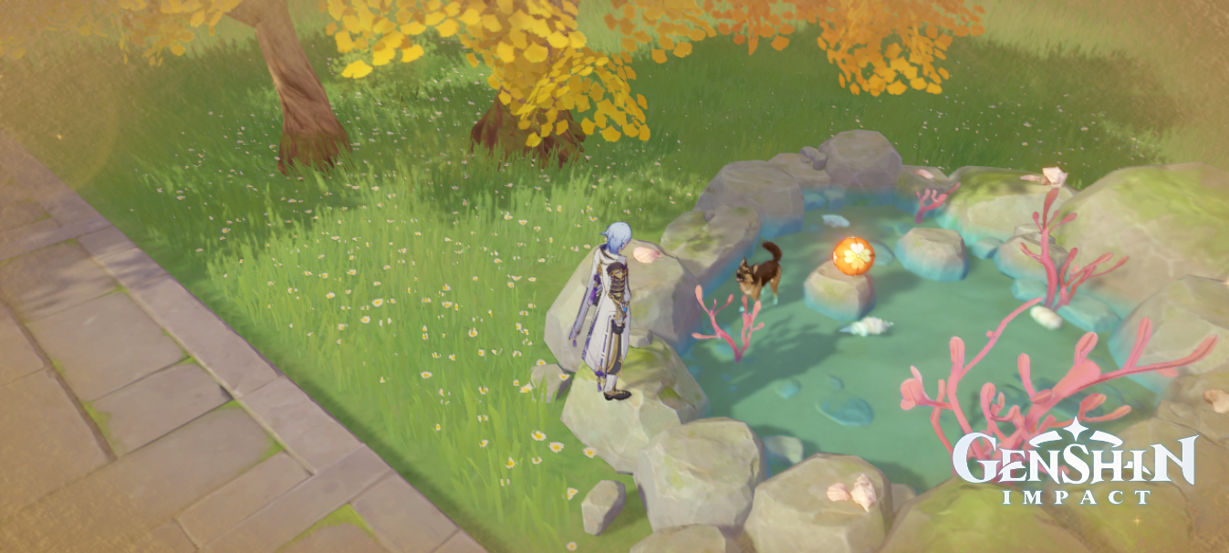 One of my Teapot Dogs loves the Pond Genshin Impact HoYoLAB