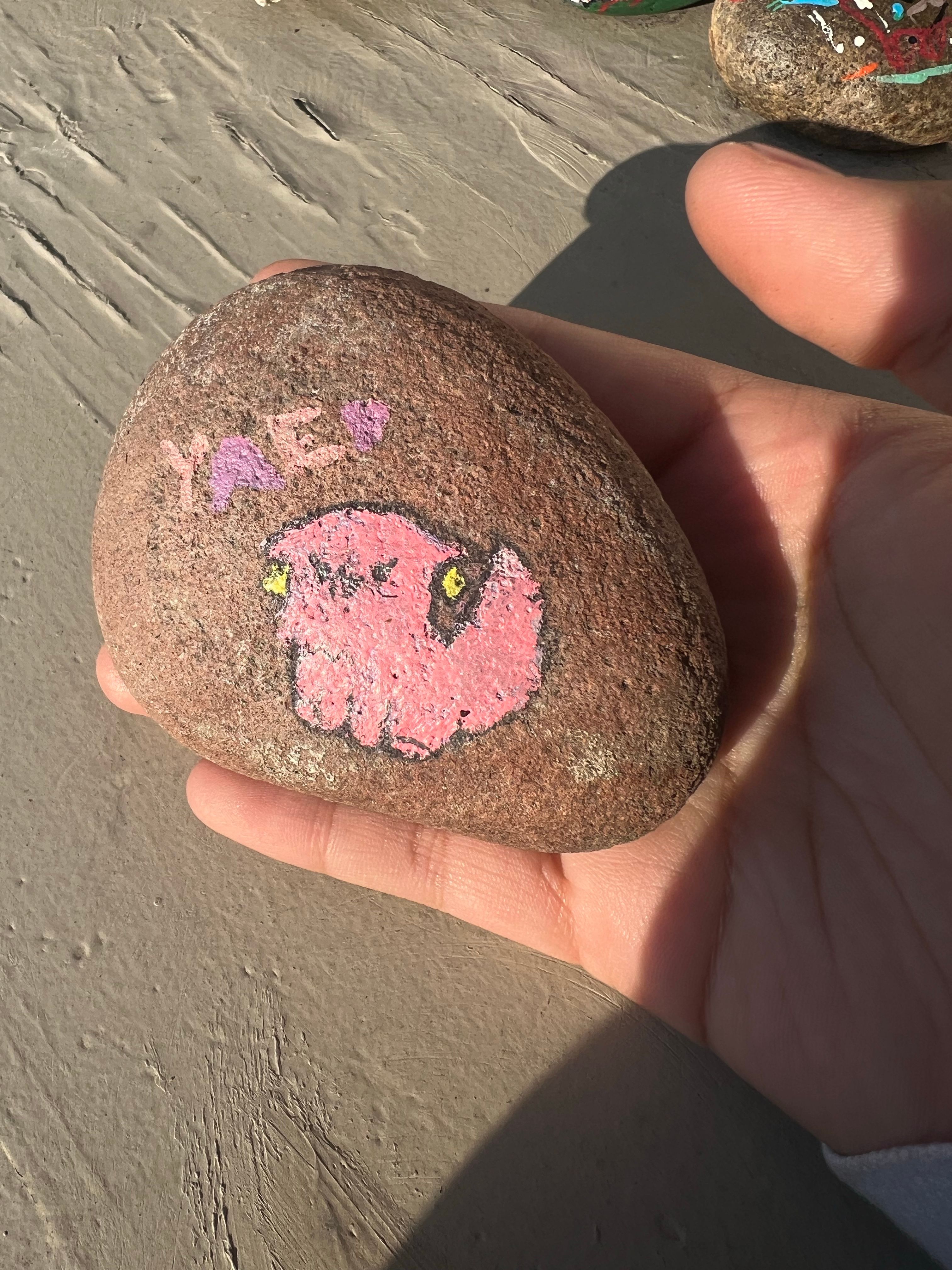 Massive Mengenutt Leak Rocks Hoyolab Community - 6ykn9s7