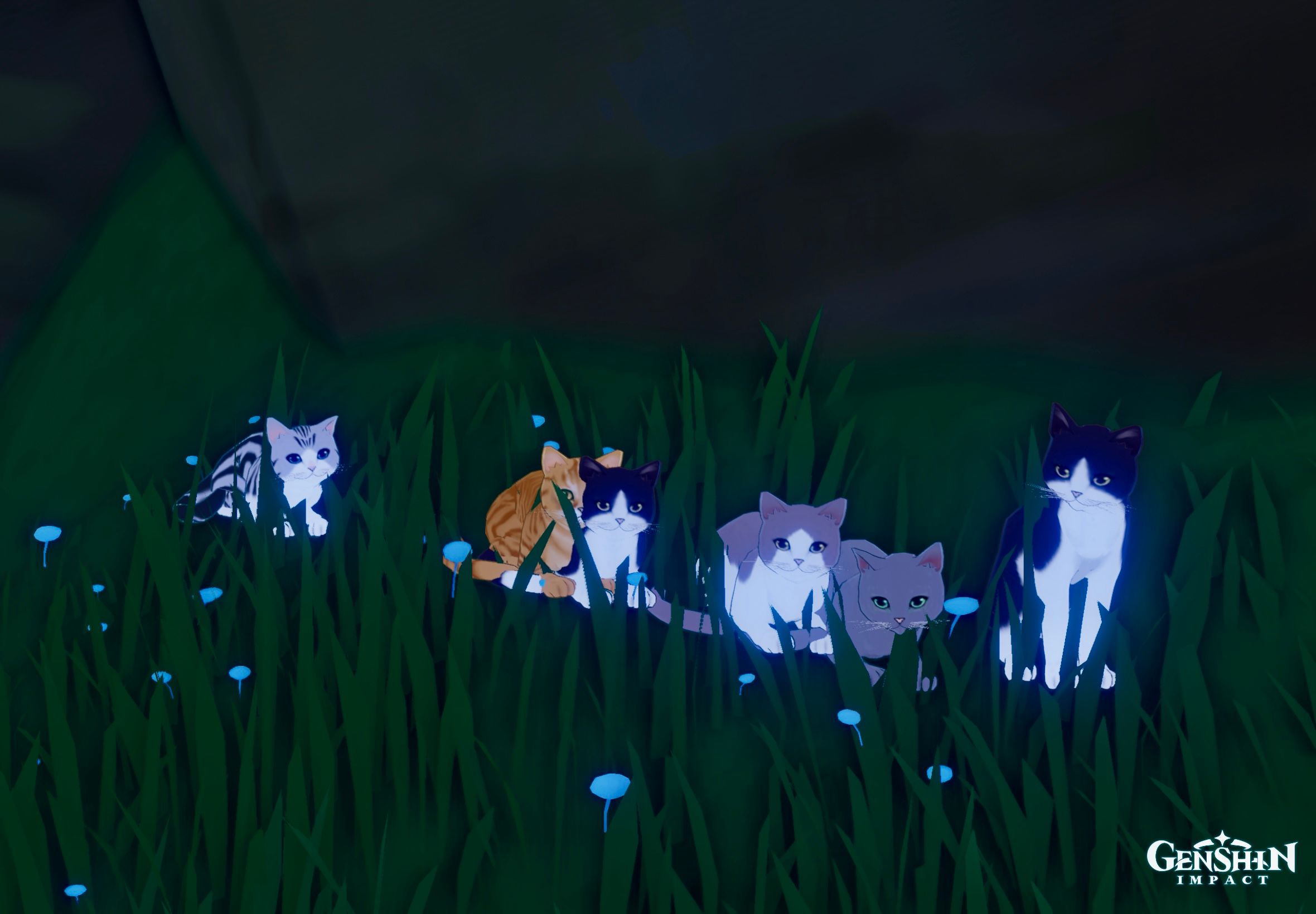 Cats Genshin Impact | HoYoLAB
