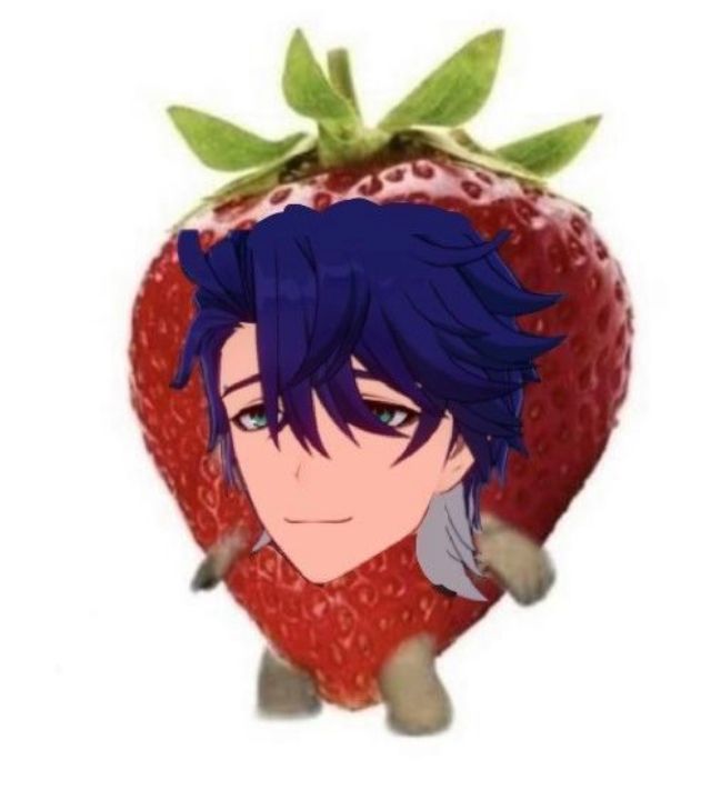 Pookie Shampoo Honkai Star Rail HoYoLAB