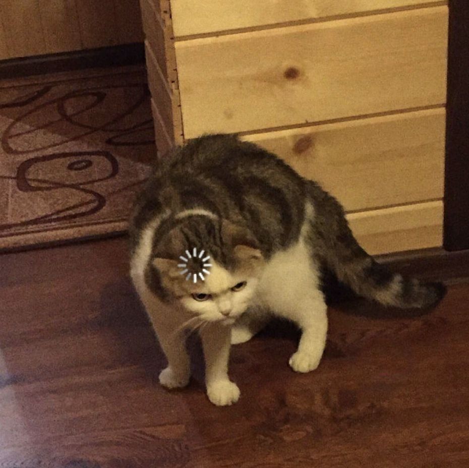 Reality Life посты.. Почему мне так смешно, с этих редких постов из ...