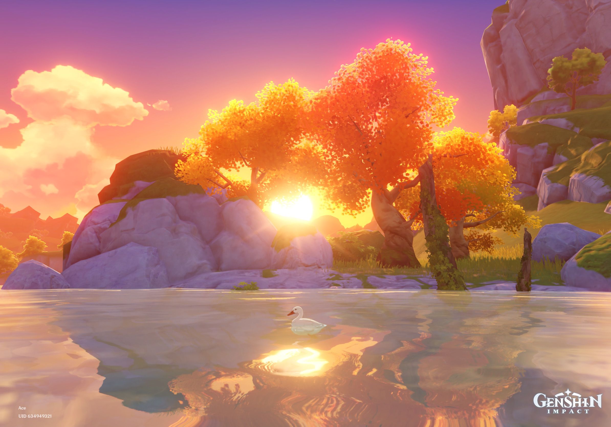 Sunset Genshin Impact HoYoLAB