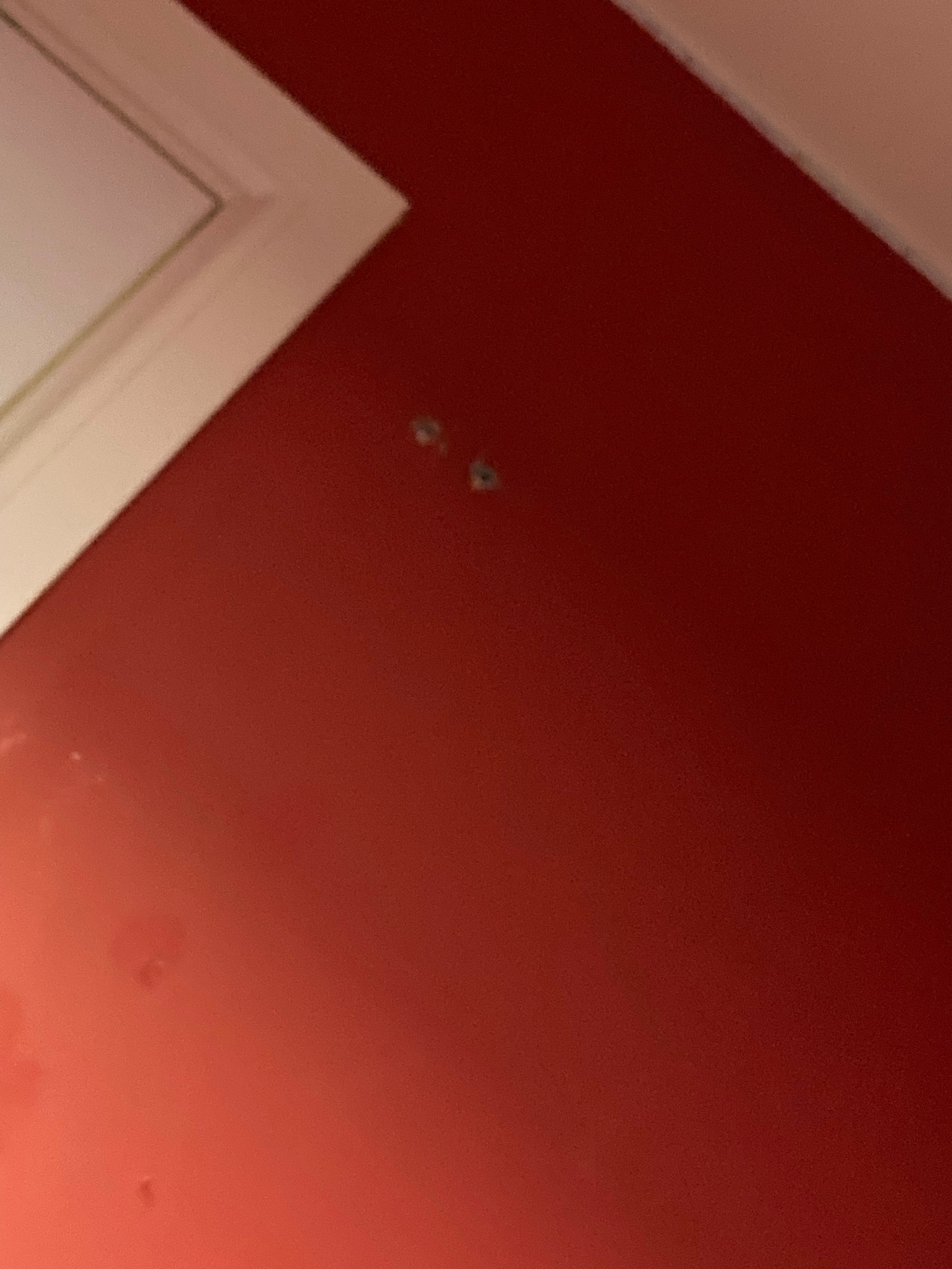 My shelve fell off the wall 😭 HoYoLAB