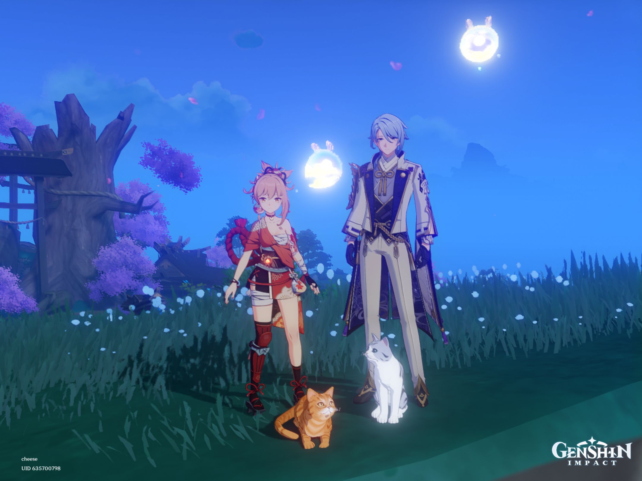 My And My Bf In Cat Form Genshin Impact HoYoLAB my-and-my-bf-in-cat-form-genshin-impact-hoyolab