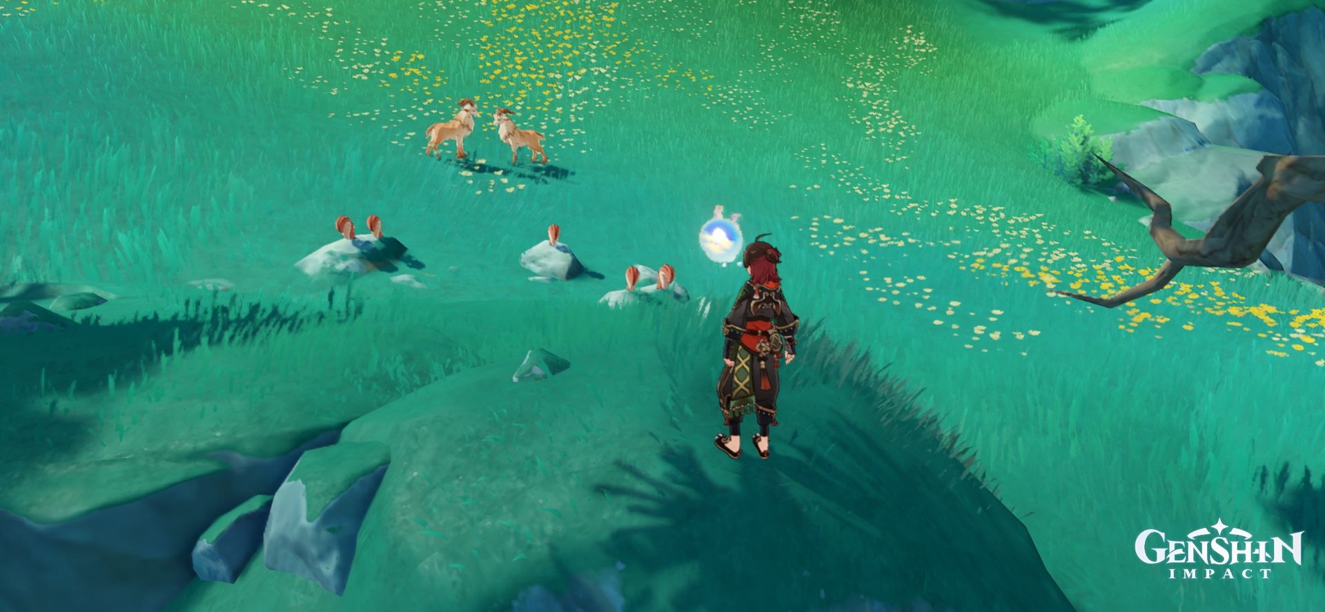 Первое правило бойцовского клуба?! Genshin Impact | HoYoLAB